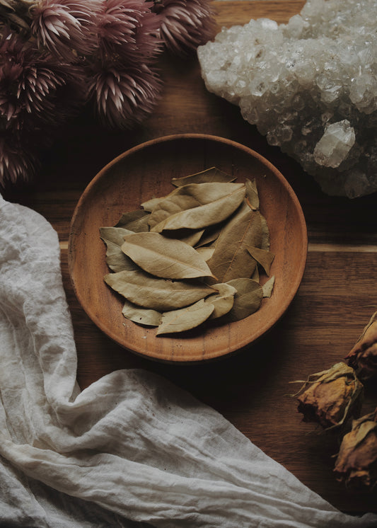 Bay Leaves (Laurus nobilis)