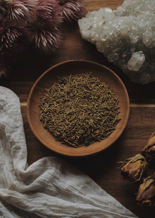 Rosemary (Rosmarinus officinalis)