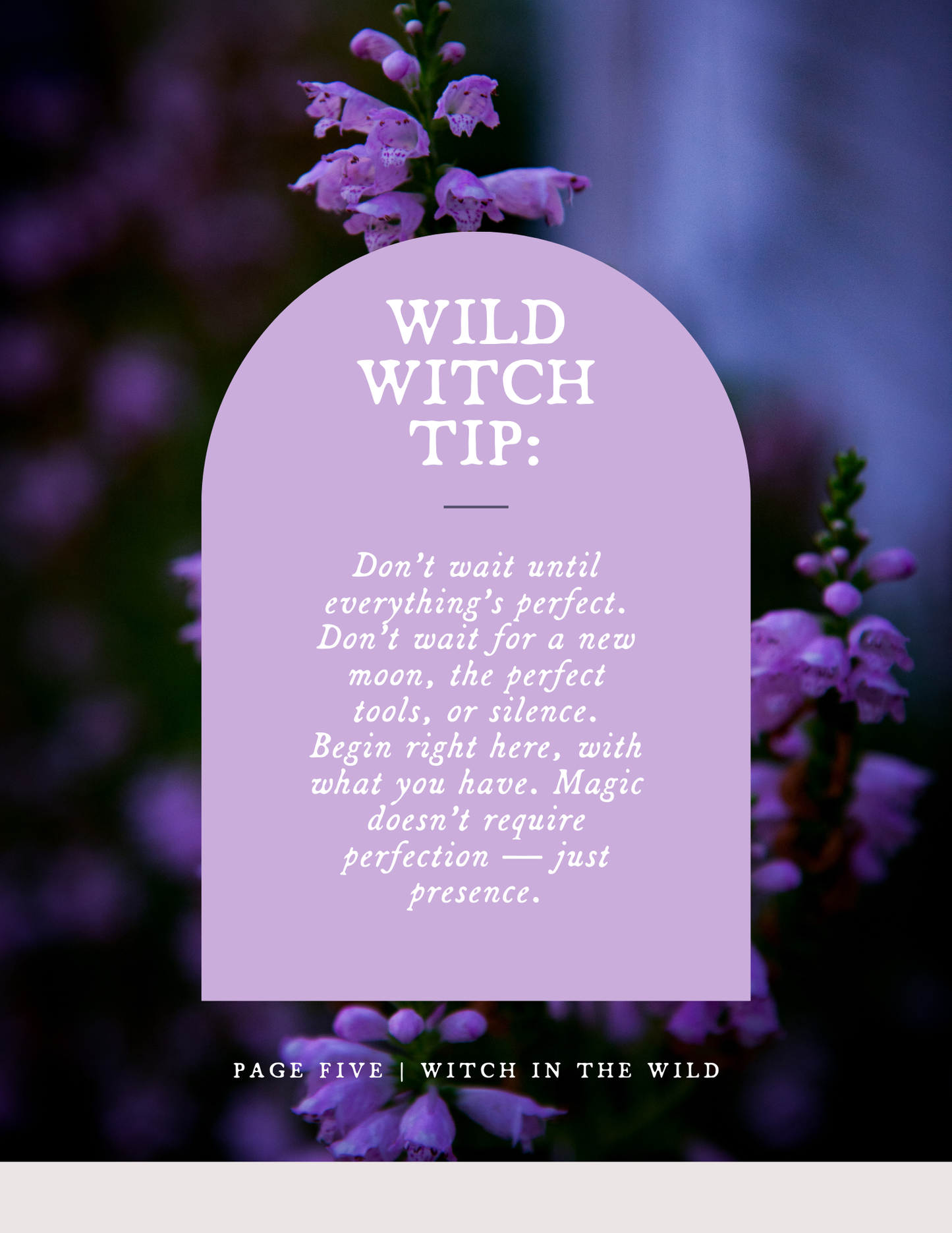 Everyday Witchcraft: A Practical Guide to Daily Magick