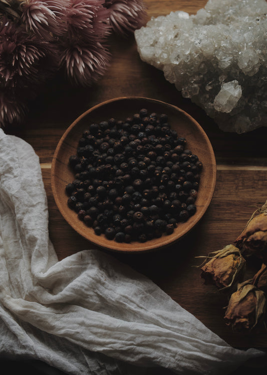 Juniper Berries (Juniperus communis)