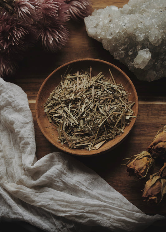 Lemon Balm (Melissa officinalis)