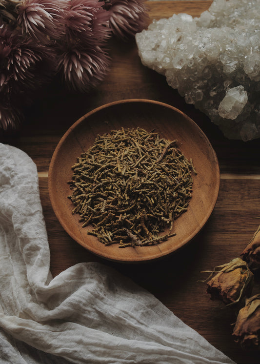 Cedar (Cedrus spp.)