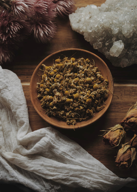Chamomile (Matricaria chamomile)