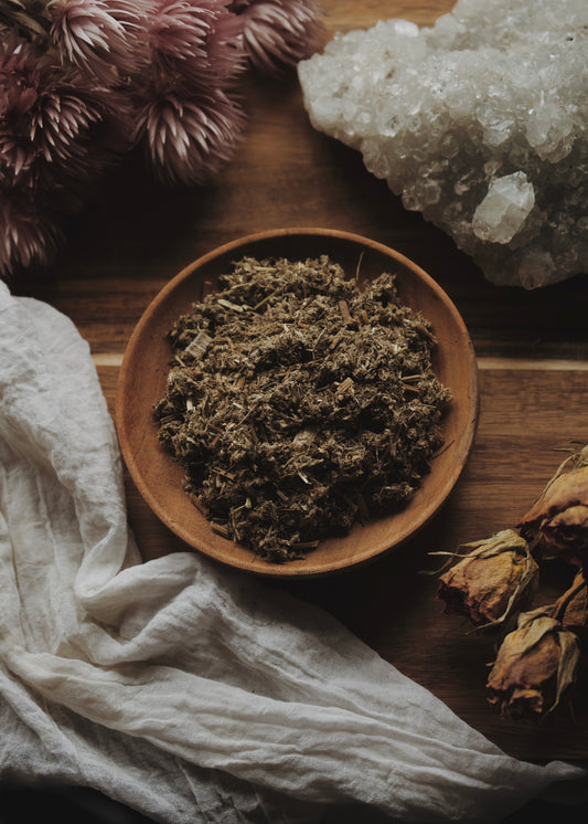 Mugwort (Artemisia vulgaris)